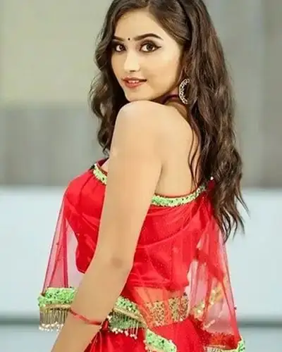 Call Girl Service in Ankleshwar